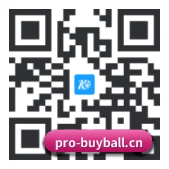 苹果版 iOS 二维码