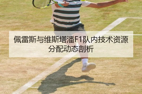 佩雷斯与维斯塔潘F1队内技术资源分配动态剖析